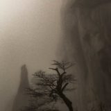 Qi i