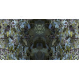 FORESTSNAKE